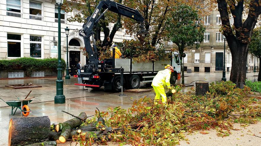 Operarios municipales retirar los estragos de la borrasca Kirk en la Alameda de Vigo
