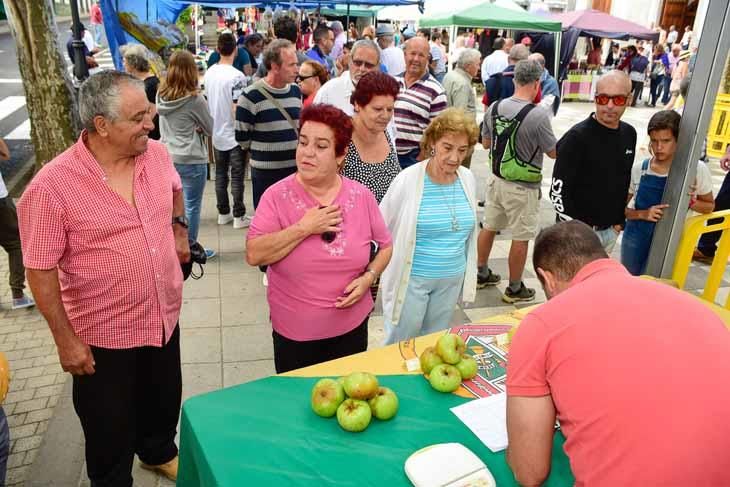 Fiesta de la manzana de Valleseco