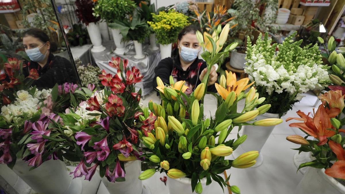 Elena Rodríguez en Flores Ana