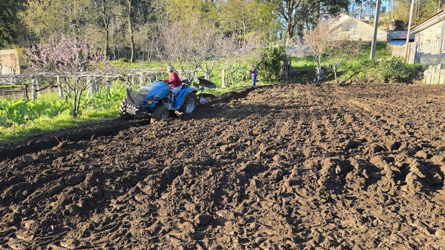 Galicia suma 100.000 dueños de fincas en 10 años, pese al abandono del rural