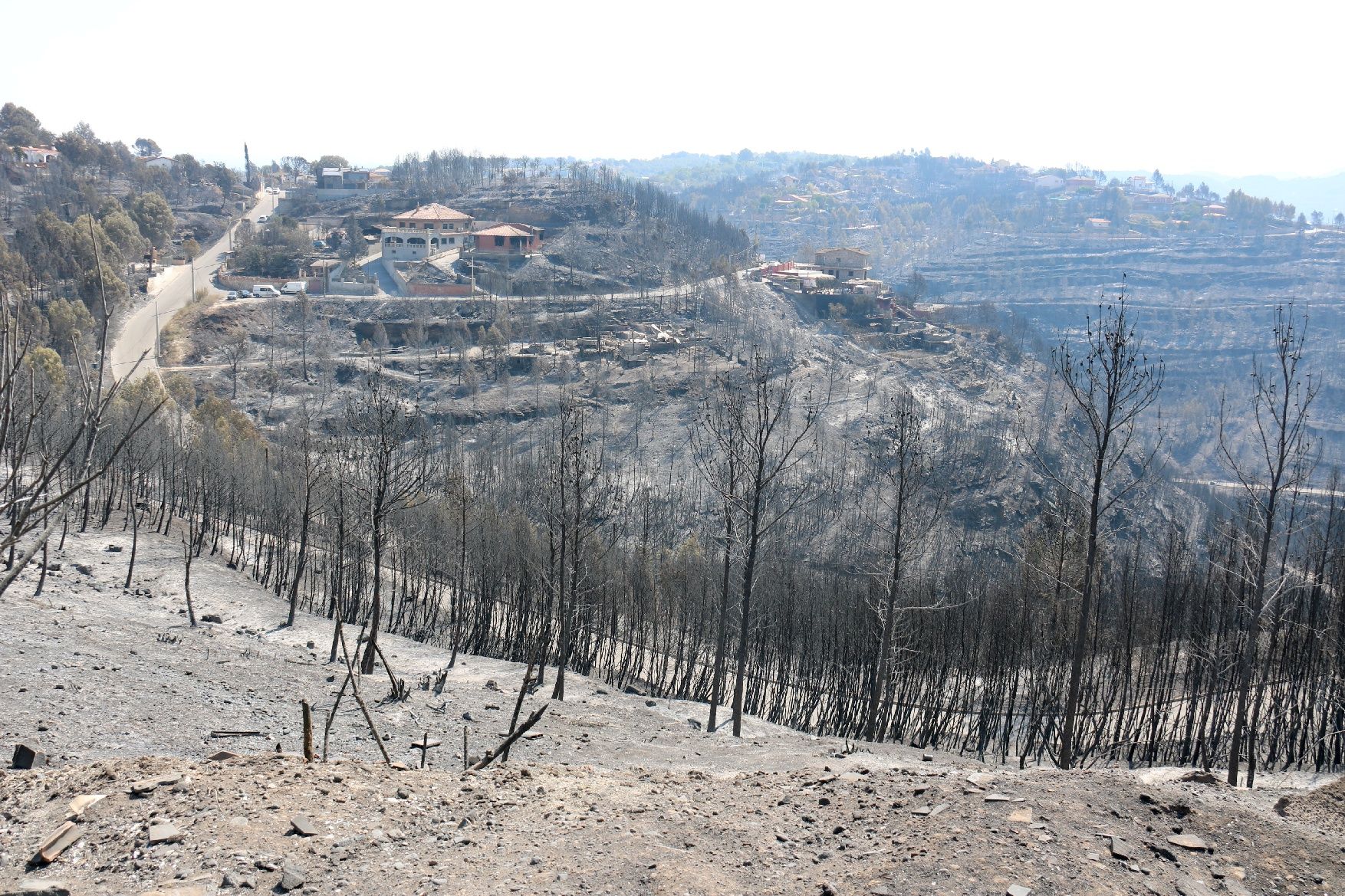 La urbanització River Park arrasada per les flames: veïns desolats i paisatge negre