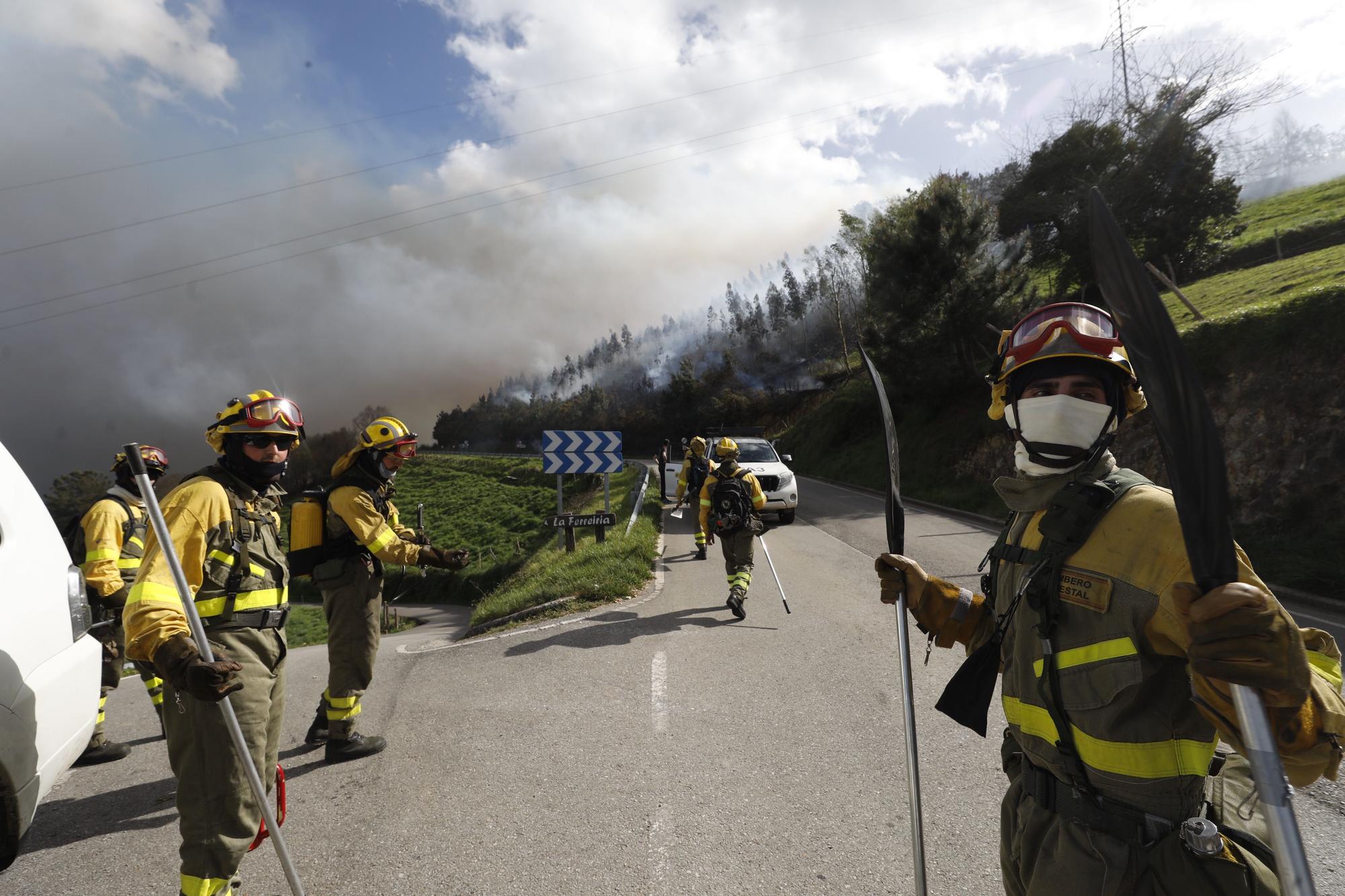 EN IMÁGENES: Gran oleada de incendios en Asturias