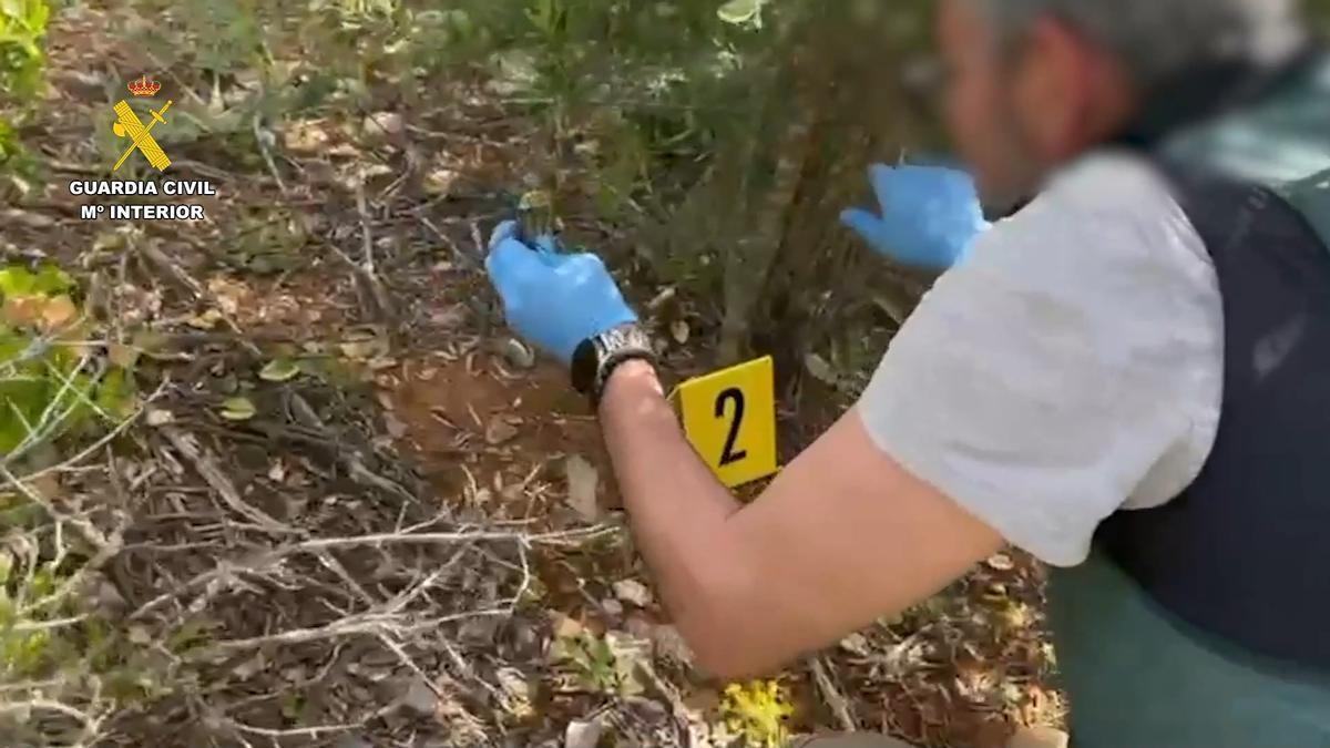 La Guardia Civil lleva a cabo dos operaciones en protección de los animales en Málaga y rescata 125 animales