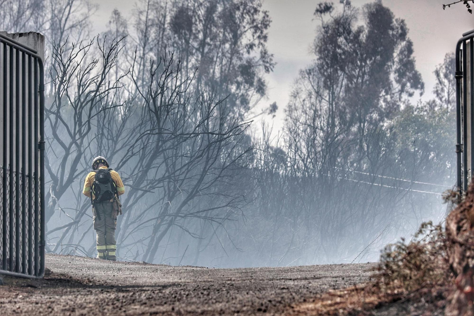 Realojadas las familias afectadas por el incendio en El Sauzal