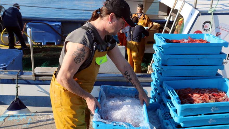 Pescadors descarregant gamba a Palamós.