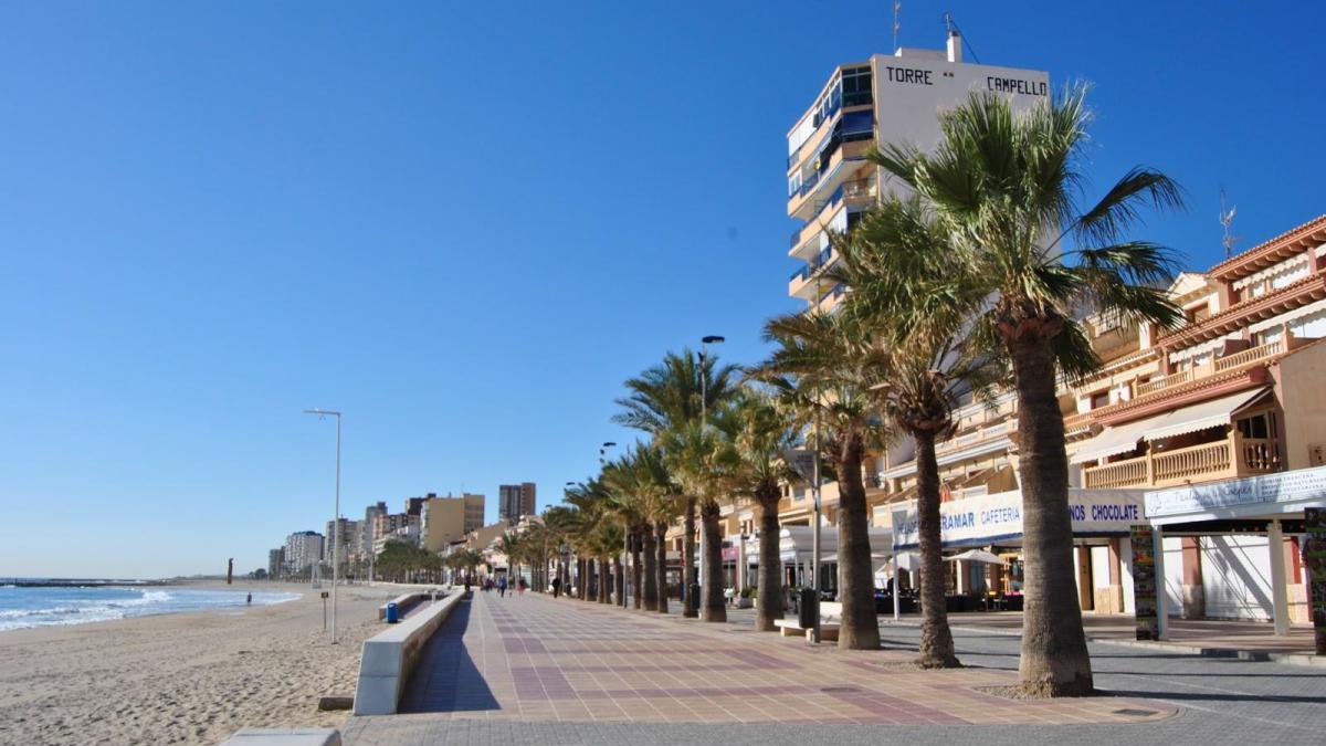 El Campello externaliza la poda y tala de palmeras y árboles de gran porte