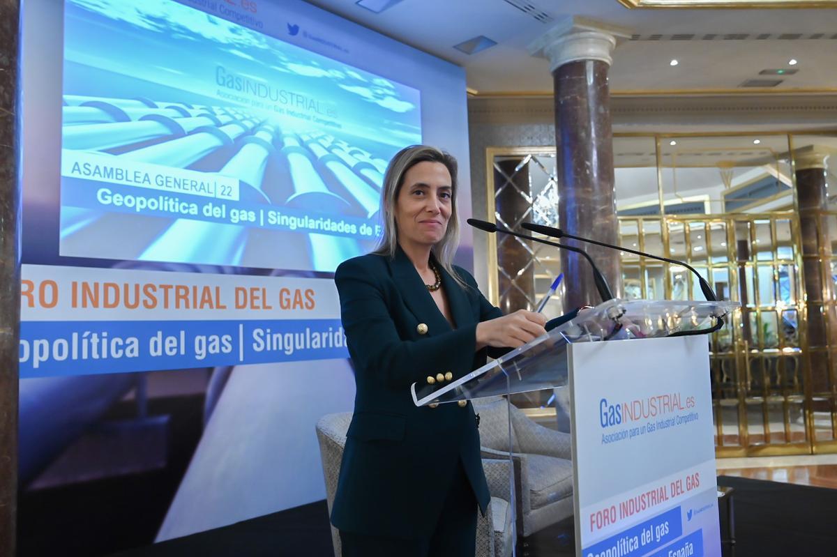 La presidenta de GasIndustrial, Verónica Rivière