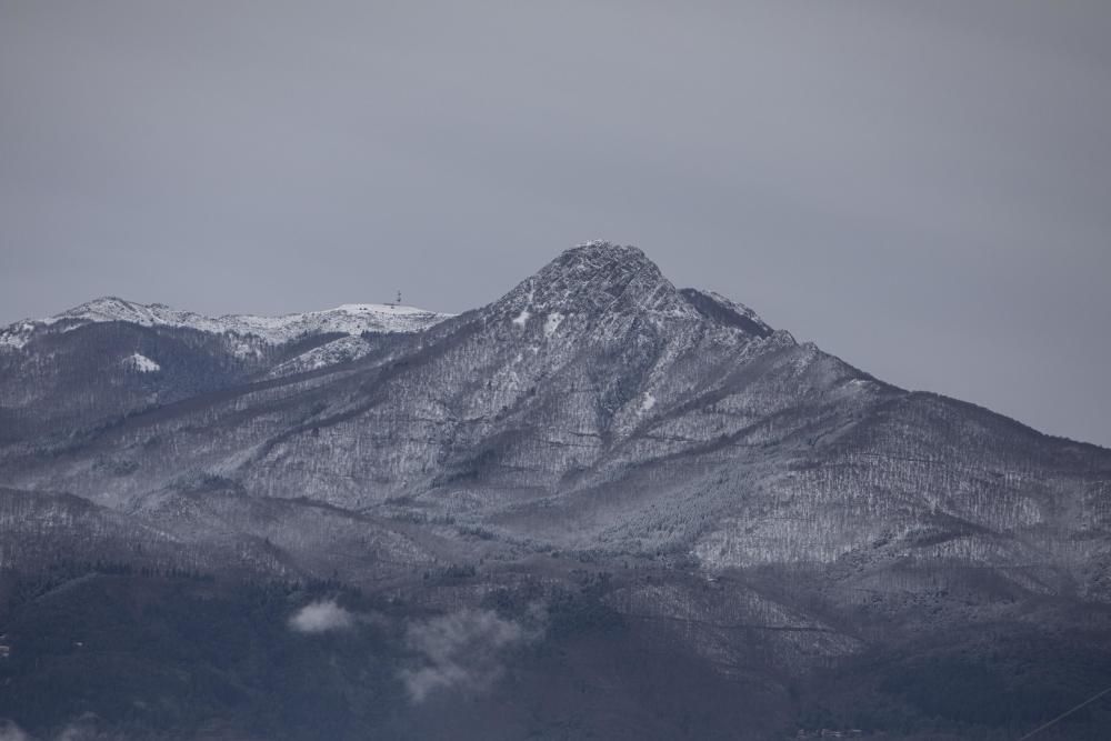 Enfarinada a Sant Hilari Sacalm