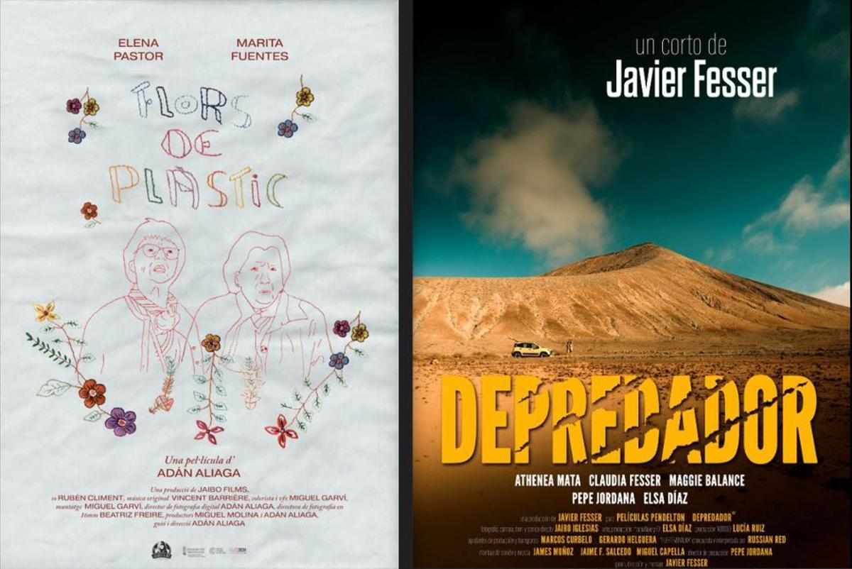 Cortometrajes de Adán Aliaga y Javier Fesser