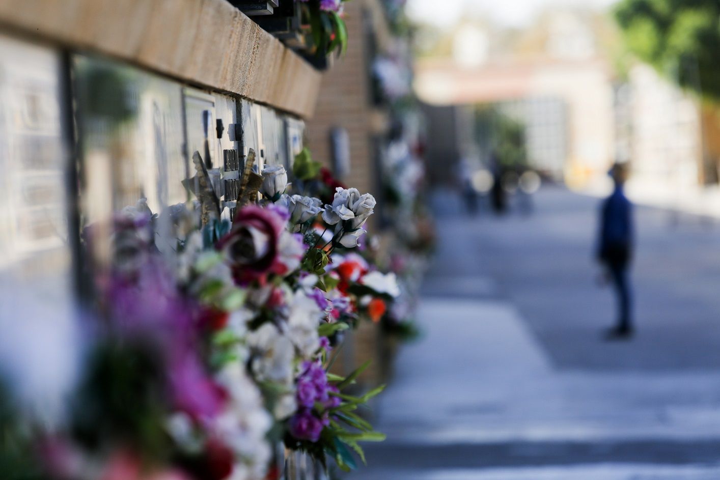 Los cementerios de València, vacíos el día de Todos los Santos