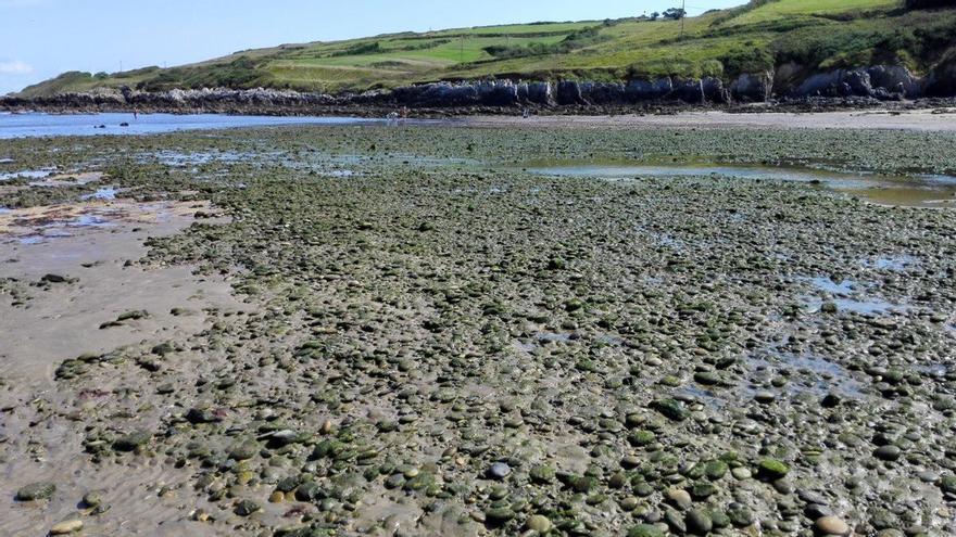 El PP de Gozón exige transparencia sobre la contaminación de la playa de Bañugues