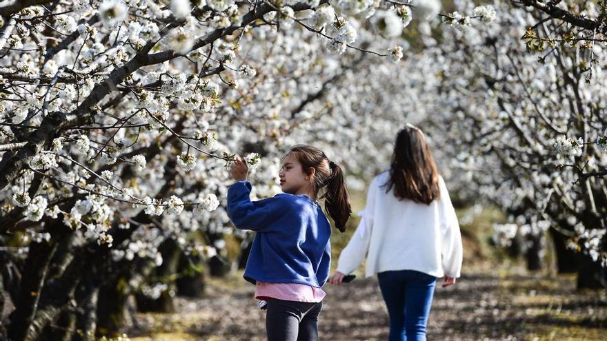 Qué planes hacer el día del padre en Cáceres