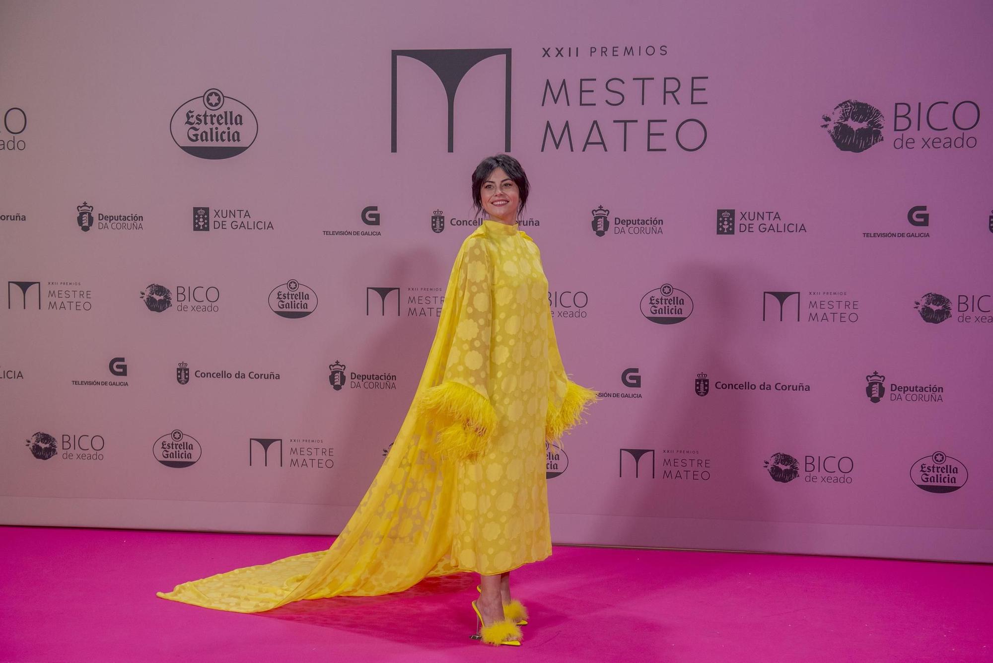 Gala dos premios Mestre Mateo 2024