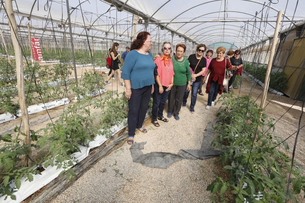 Elche celebra el Día de la Mujer Rural