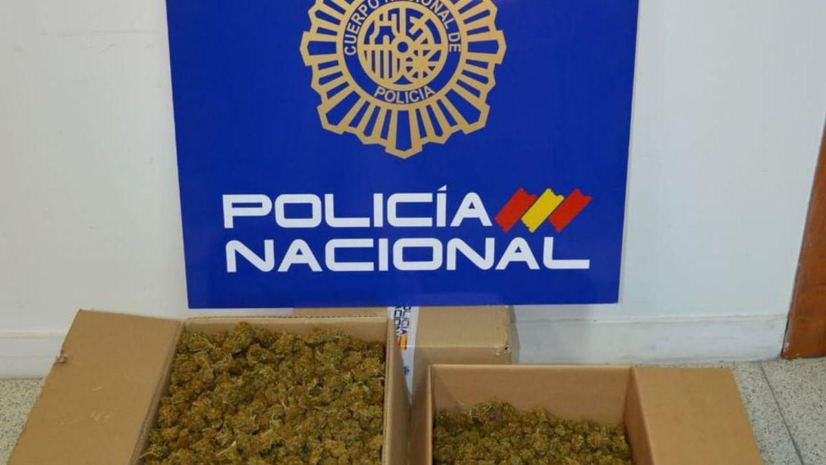 Las dos cajas con cogollos incautadas por la Policía Nacional.