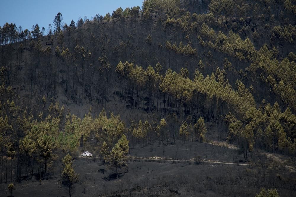 Las llamas arrasan cientos de hectáreas del monte de A Gudiña. // B. Lorenzo (EFE)