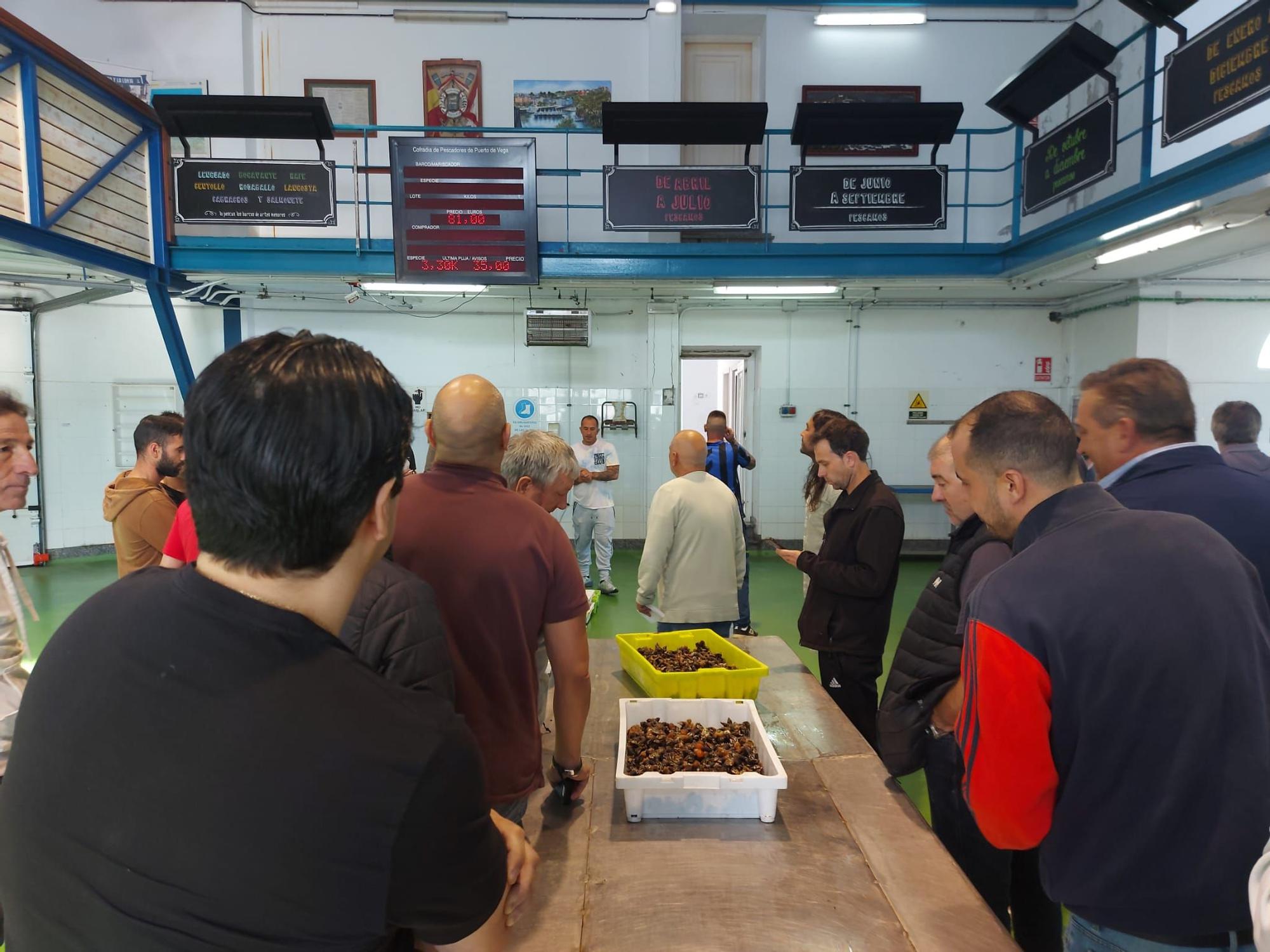 En imágenes: La primera subasta de percebe de la temporada en la rula de Puerto de Vega