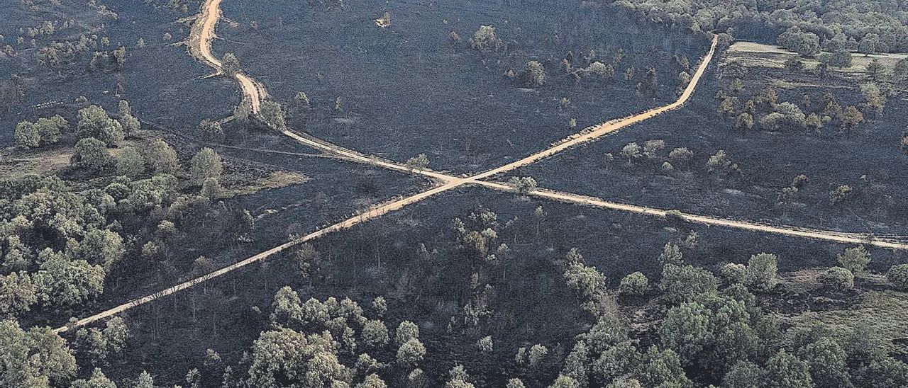 El día después del mayor fuego de España: Mires donde mires está todo negro