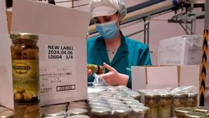 Instalaciones de envasado de aceitunas de Dcoop