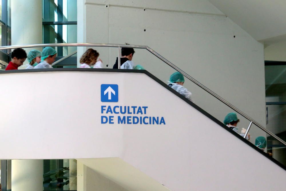 Médicos de cinco años