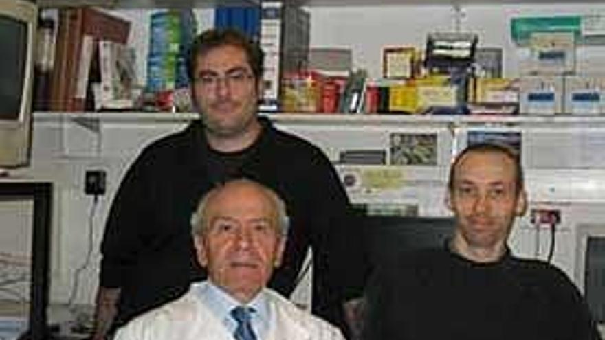 El equipo de investigadores de la USC, con Carlos Acuña a la cabeza.