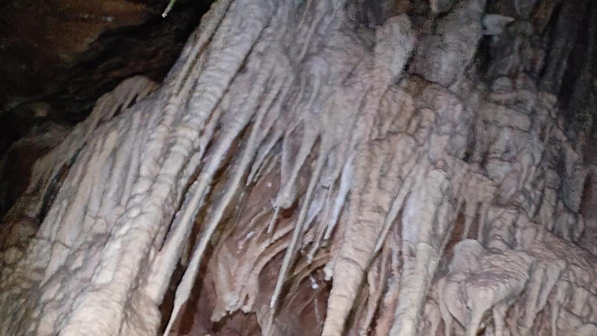 Las primeras fotografías de la cueva de Algueña realizadas por sus descubridores.