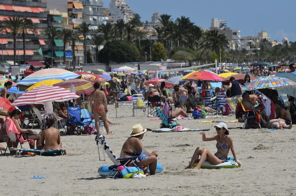 Buen tiempo este fin de semana en Elche