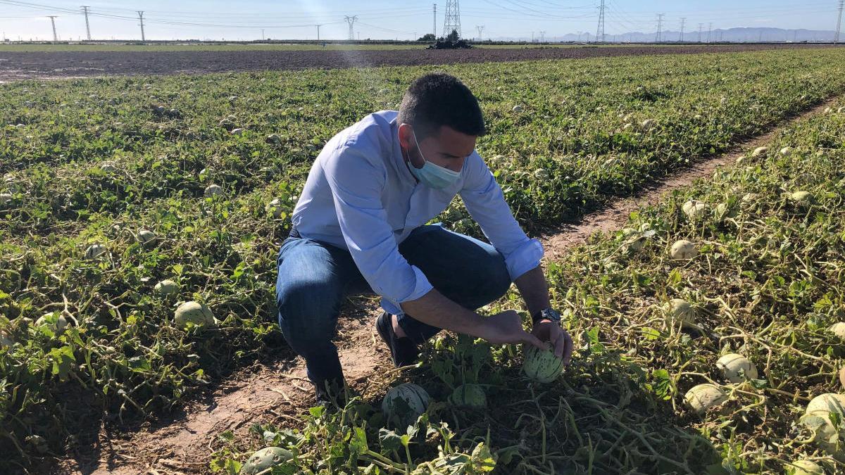 El granizo afectó a 1.200 hectáreas y 21.000 toneladas