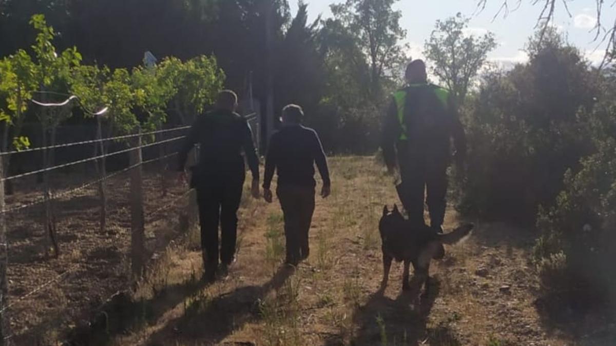 La Guardia Civil localiza en un monte de Peleas de Abajo, Zamora, a un hombre que había desaparecido