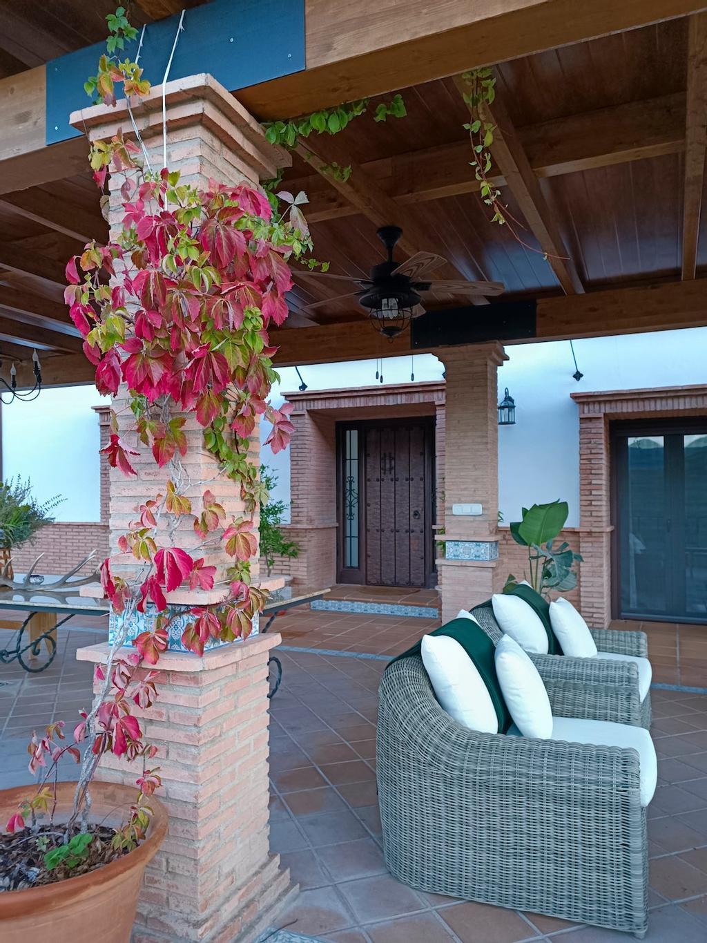 Sierra Morena, territorio Lince