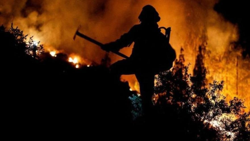 Los responsables del incendio de Tenerife &quot;lo hicieron a mala idea&quot;