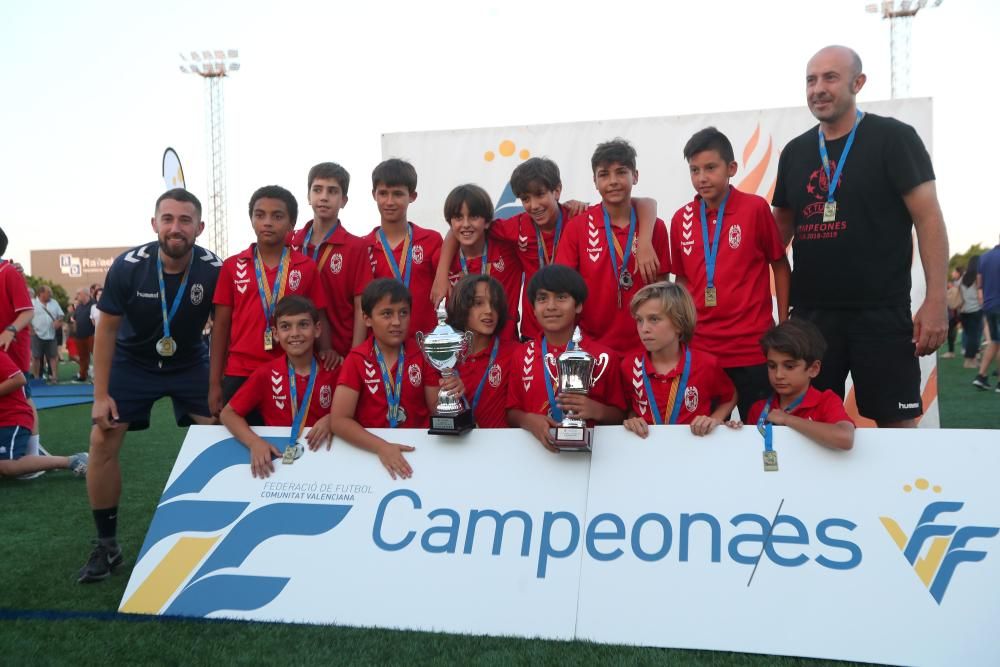 Campeones futbol 8