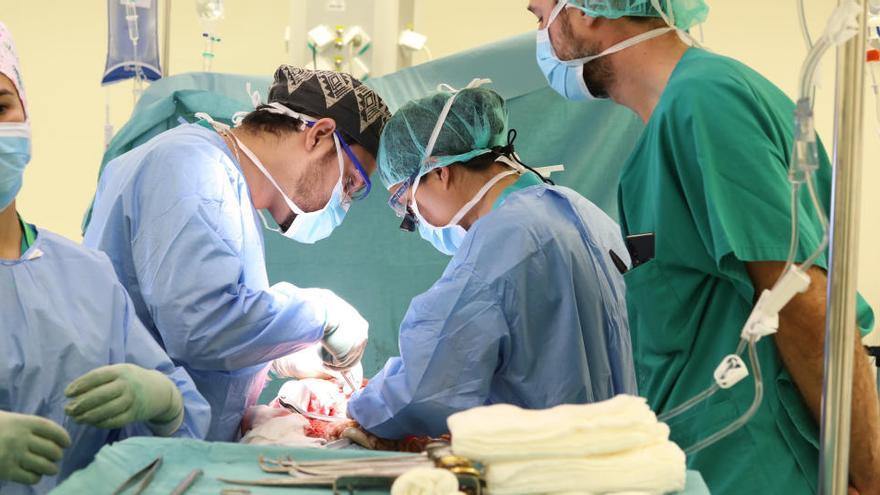 Extracción de órganos para trasplantes en el quirófano del Hospital Can Misses, imagen de archivo.