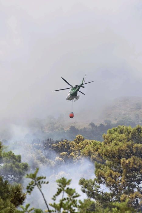 INCENDIO FORESTAL EN LOS MONTES DE BENAHAVÍS ...