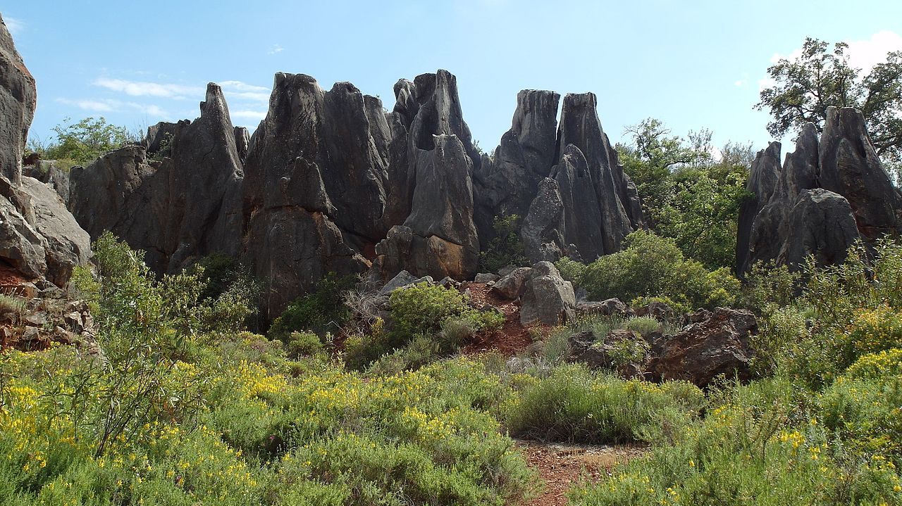 La mejor opción para descubrir el entorno es el sendero Cerro del Hierro, apto para todos los públicos