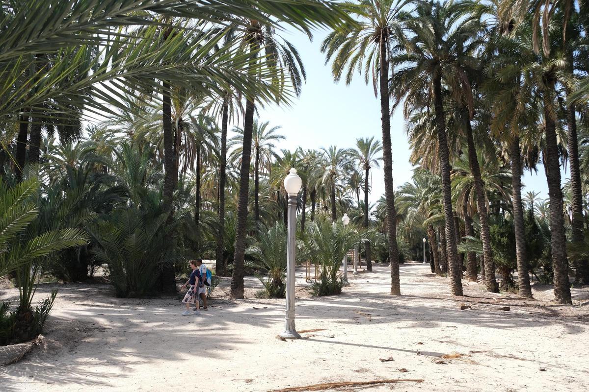 Dos personas caminando por uno de los huertos de Elche.