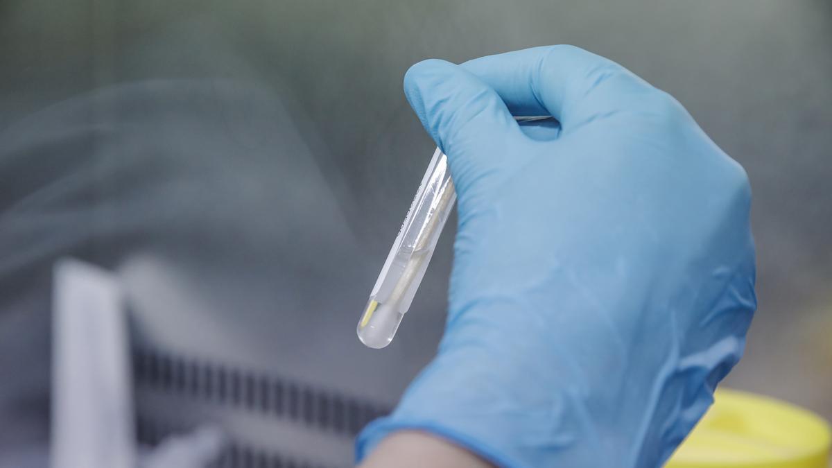 Un técnico de laboratorio sostiene una de las pruebas de análisis