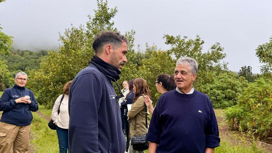 Un plan de empleo ayuda a 56 personas a retomar sus estudios en Gran Canaria