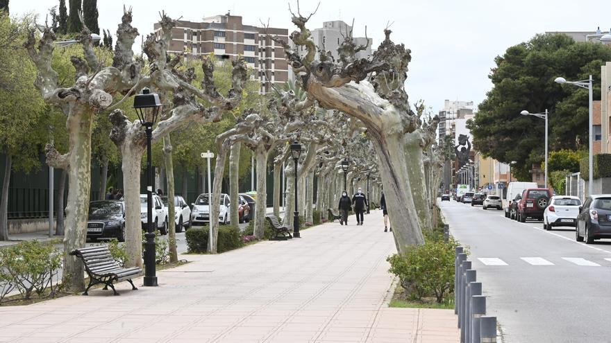 Castelló adjudicará la remodelación de la avenida de Lledó en 15 días