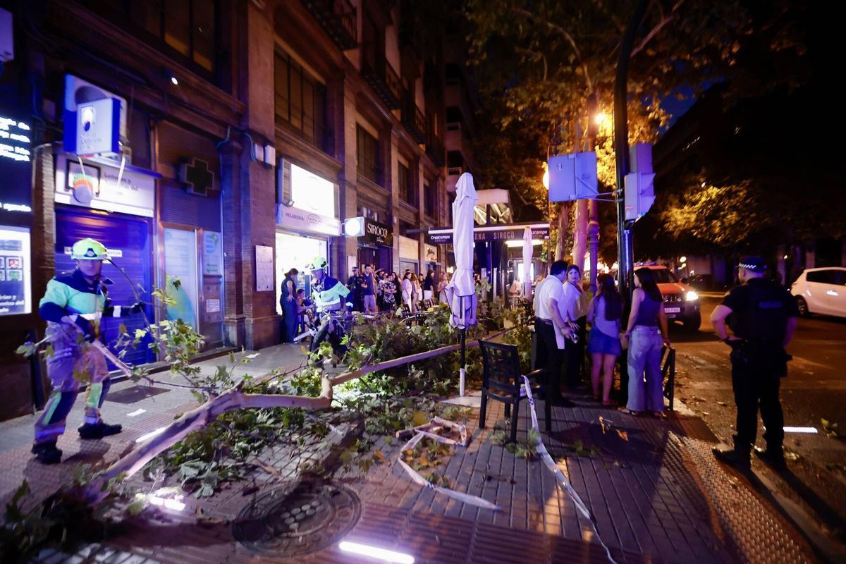 Bomberos retiran las ramas caídas sobre la terraza de una heladería en Ronda de los Tejares.
