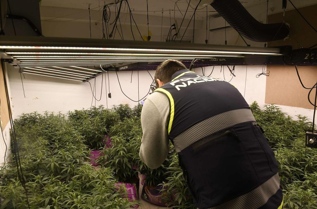 Las imágenes de la redada contra el narcotráfico en el Polígono de La Paz en Murcia Las imágenes de la redada contra el narcotráfico en el Polígono de La Paz en Murcia