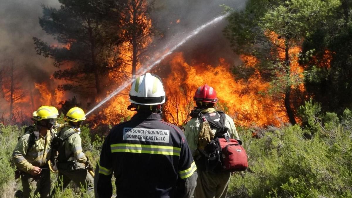 Bomberos del Consorcio sofocan un incendio forestal en Castellón en una imagen de archivo