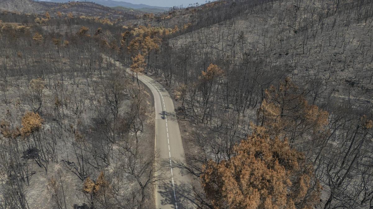 Les Gavarres, després de l'incendi.
