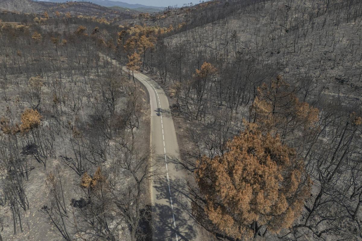 Les Gavarres després de l'incendi.