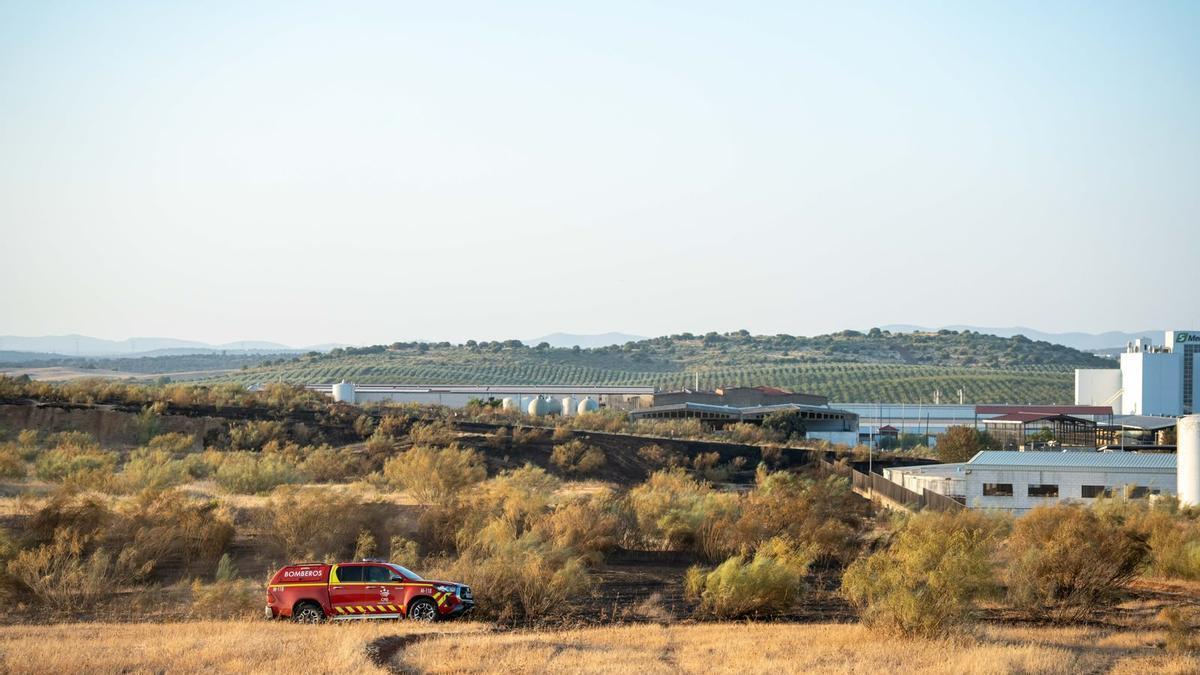 https://www.elperiodicoextremadura.com/merida/2026/07/27/merida-abre-200-expedientes-propietarios-132855975.html