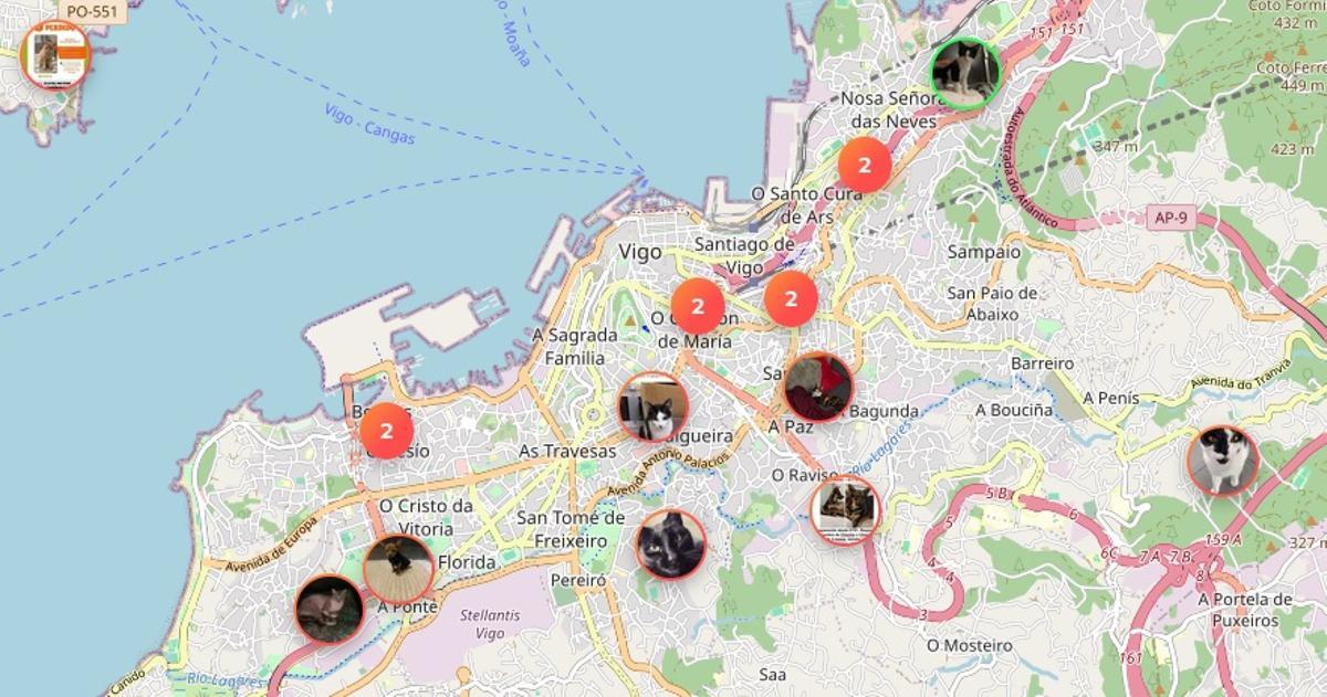 Animales perdidos en el área de Vigo.