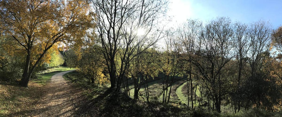 El projecte a la mutanya de les Pedreres , a tocar de Sant Daniel