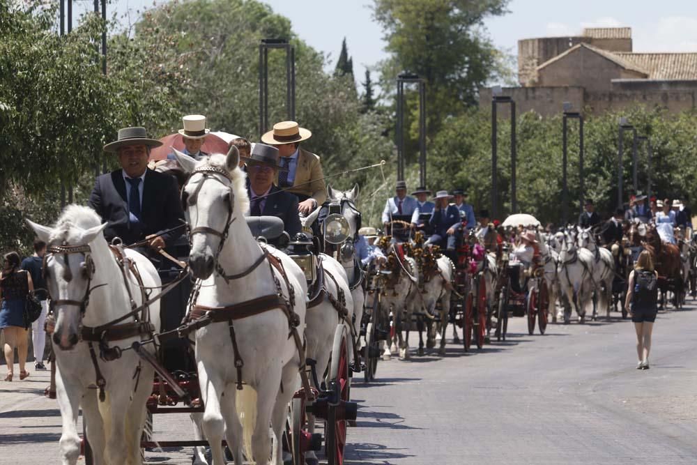 Exhibición de carruajes de tradición en El Arenal