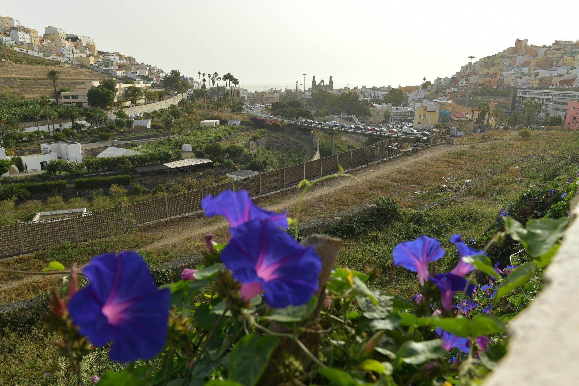 Tiempo en Las Palmas de Gran Canaria (31/03/2023)