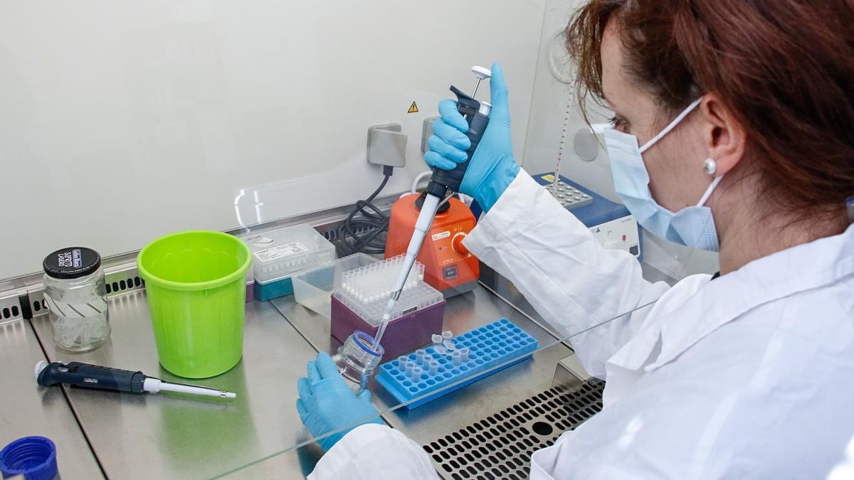 Cabina de seguridad biológica para extracción de muestras de ADN.